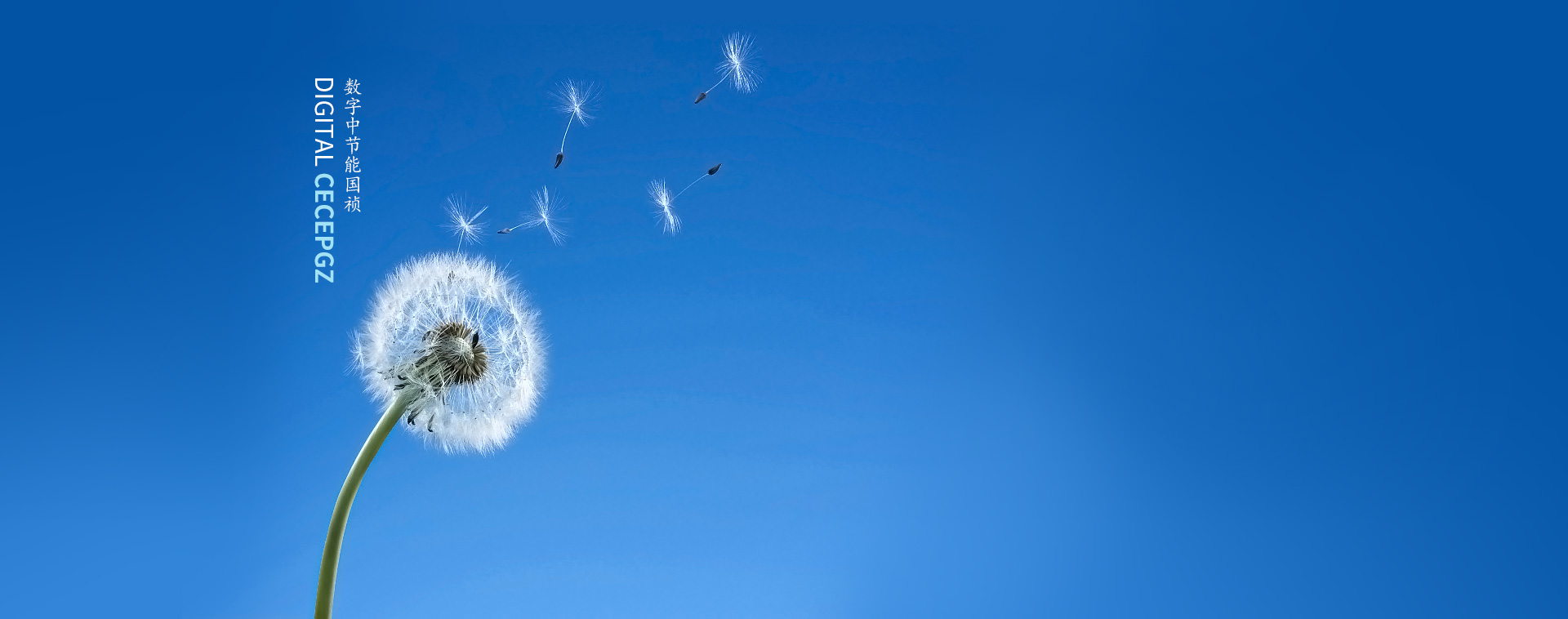 中節(jié)能國禎環(huán)?？萍脊煞萦邢薰? />
            <div   id=