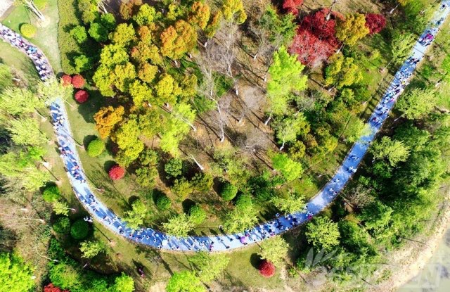 國(guó)禎環(huán)保-快樂(lè)國(guó)禎環(huán)湖毅行