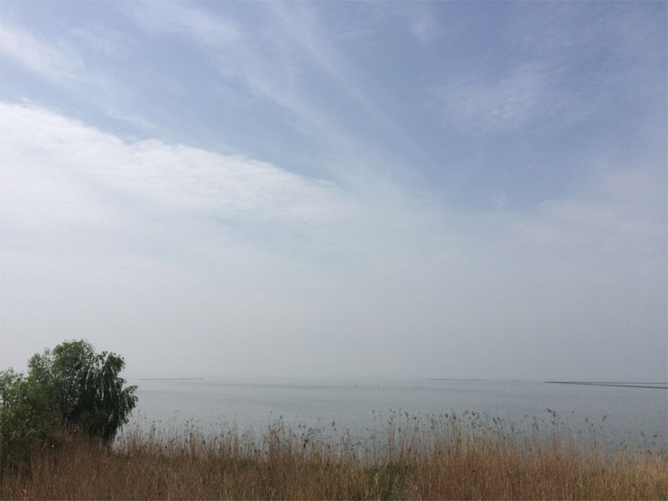 國(guó)禎環(huán)保-快樂(lè)國(guó)禎環(huán)湖毅行沿途風(fēng)景